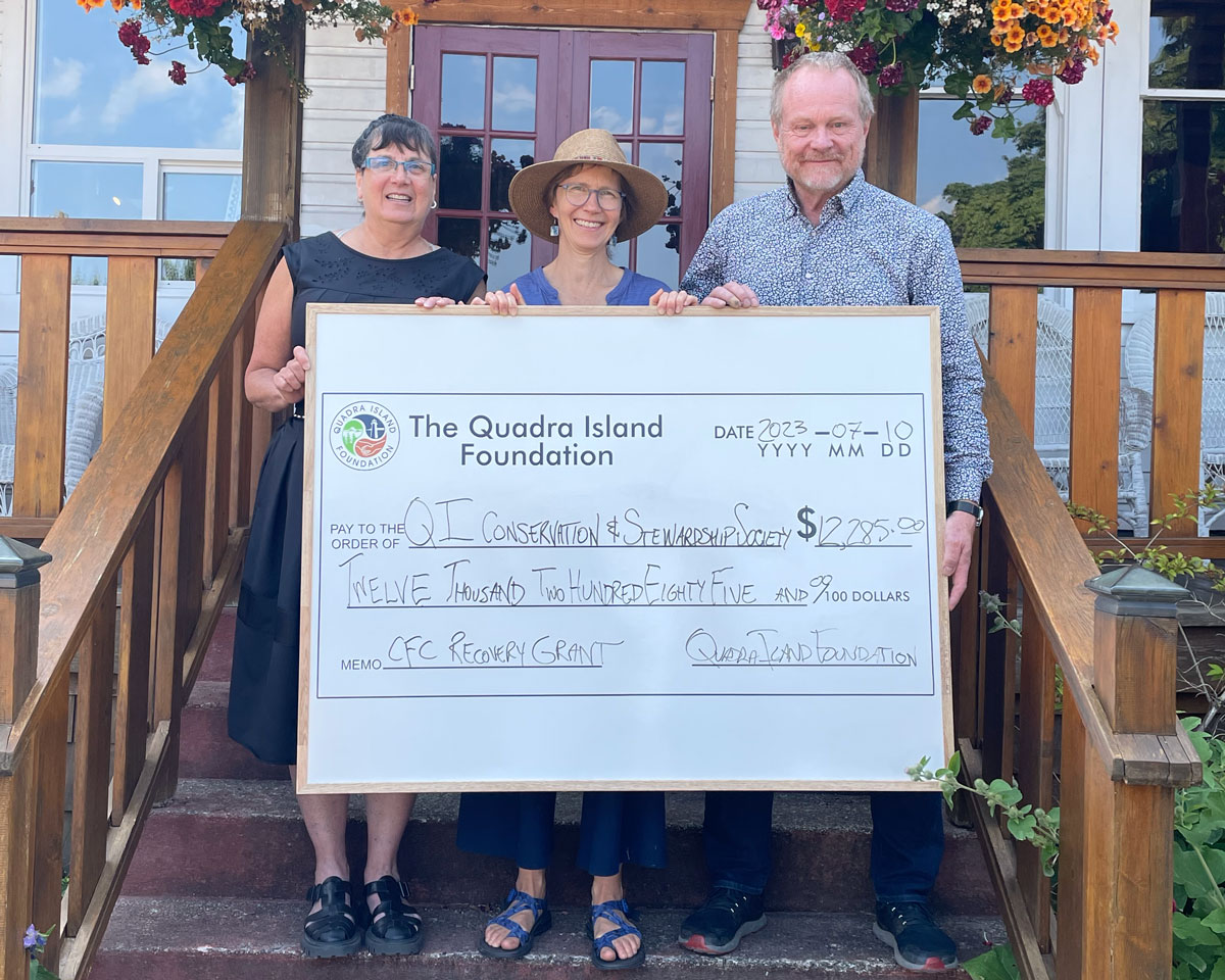 QIF grant recipient: QICSS
